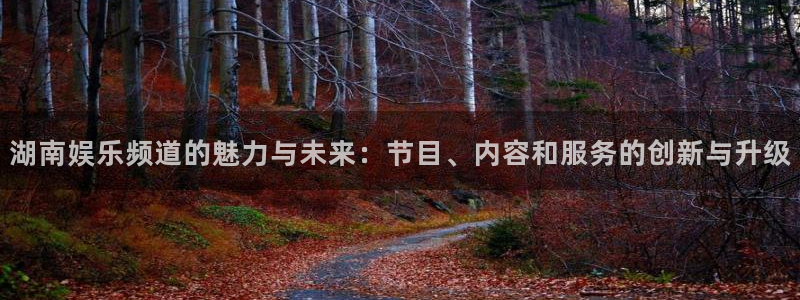 小焦点娱乐：湖南娱乐频道的魅力与未来：节目、内容和服务的创新与升级