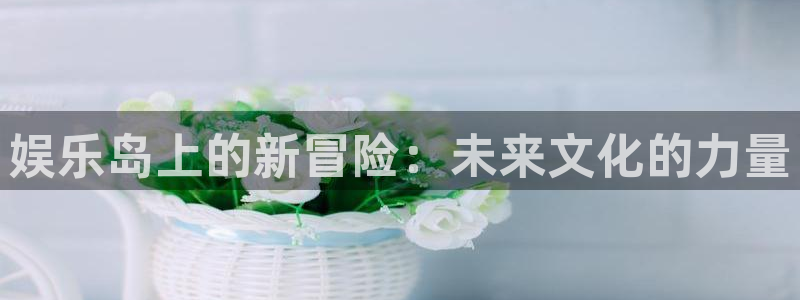焦点娱乐官网：娱乐岛上的新冒险：未来文化的力量