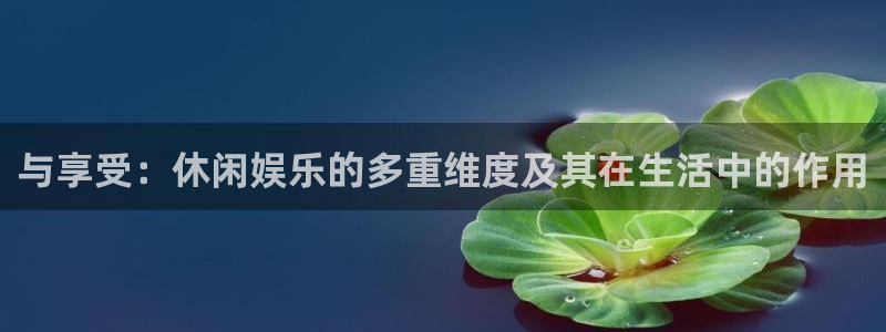 小焦点娱乐：与享受：休闲娱乐的多重维度及其在生活中的作用