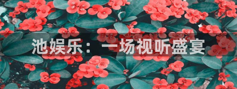 焦点娱乐登录：池娱乐：一场视听盛宴