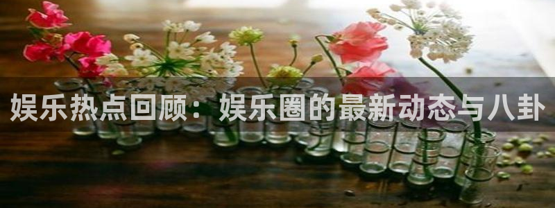 小焦点娱乐：娱乐热点回顾：娱乐圈的最新动态与八卦