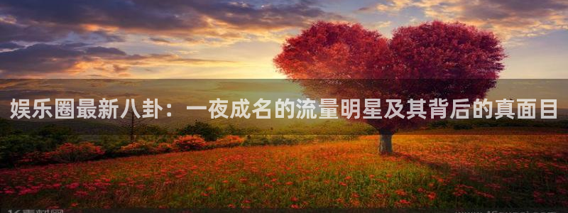 焦点娱乐注册：娱乐圈最新八卦：一夜成名的流量明星及其背后的真面目