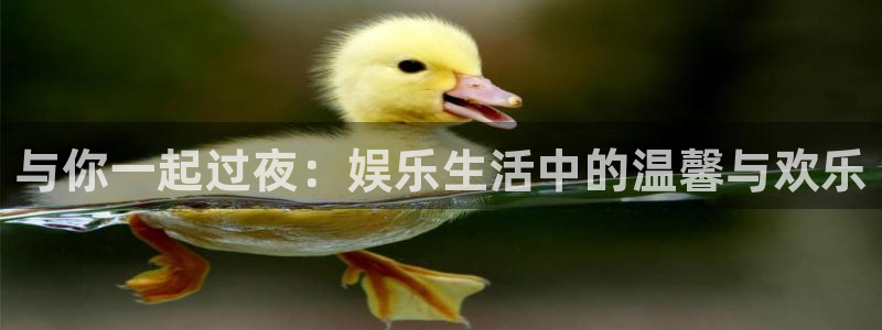 焦点娱乐网：与你一起过夜：娱乐生活中的温馨与欢乐