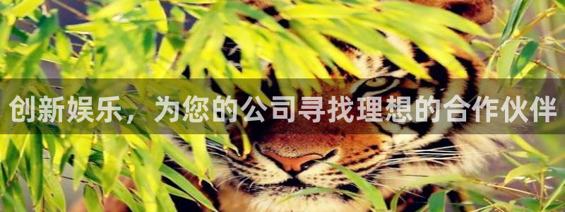 焦点娱乐注册：创新娱乐，为您的公司寻找理想的合作伙伴