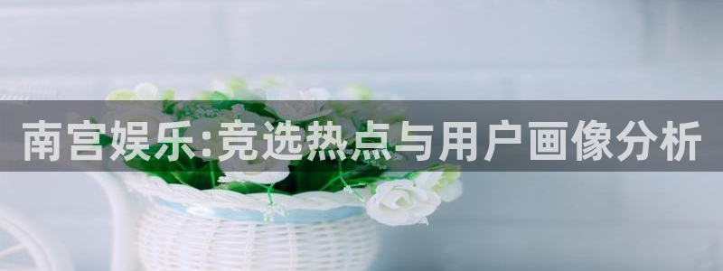 焦点娱乐网：南宫娱乐:竞选热点与用户画像分析