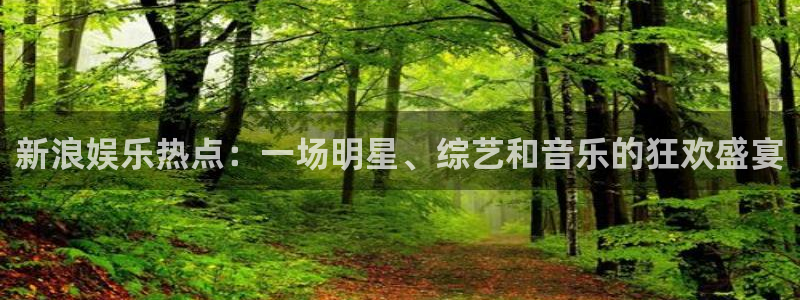 焦点娱乐官网：新浪娱乐热点：一场明星、综艺和音乐的狂欢盛宴