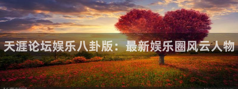 焦点娱乐注册：天涯论坛娱乐八卦版：最新娱乐圈风云人物