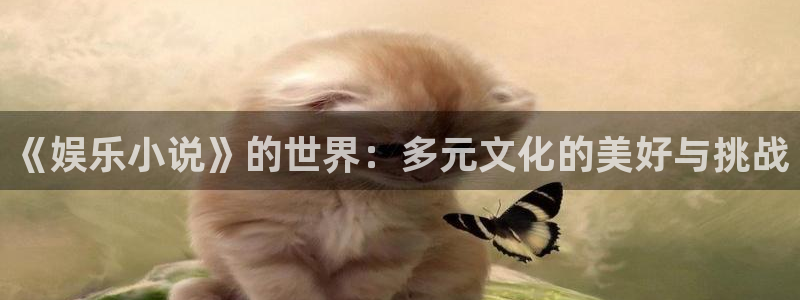 焦点娱乐登录地址：《娱乐小说》的世界：多元文化的美好与挑战