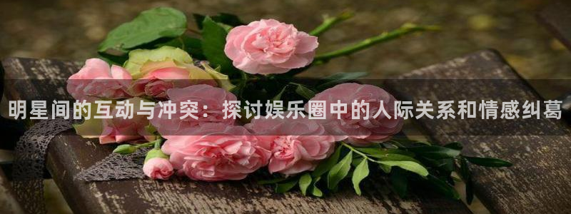 焦点娱乐网：明星间的互动与冲突：探讨娱乐圈中的人际关系和情感纠葛
